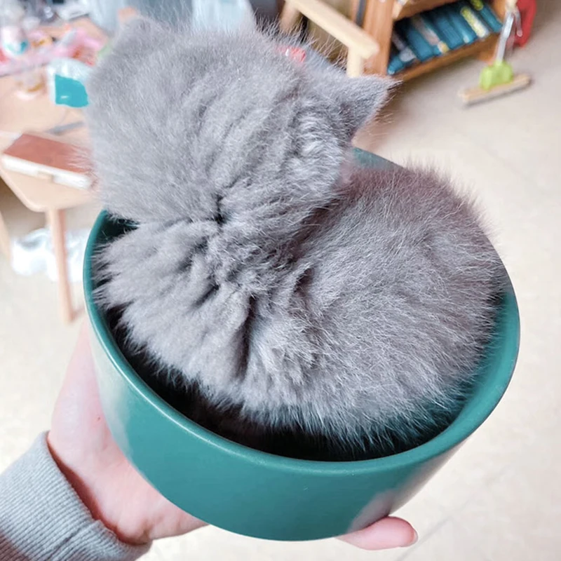 
Jade-cer wholesale color glazed ceramic pet dog cat food and water bowl with wooden frame stand 