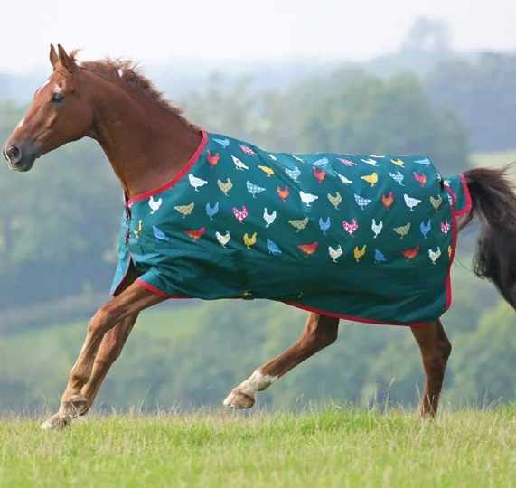 
xustom horse rug 