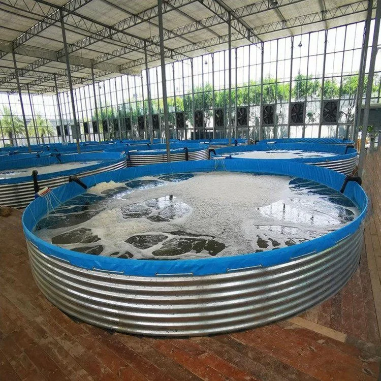 Crab Recirculating Aquaculture System Ras Aquaculture Systems Detachable Tilapia Catfish Shrimp Ras Aquaculture