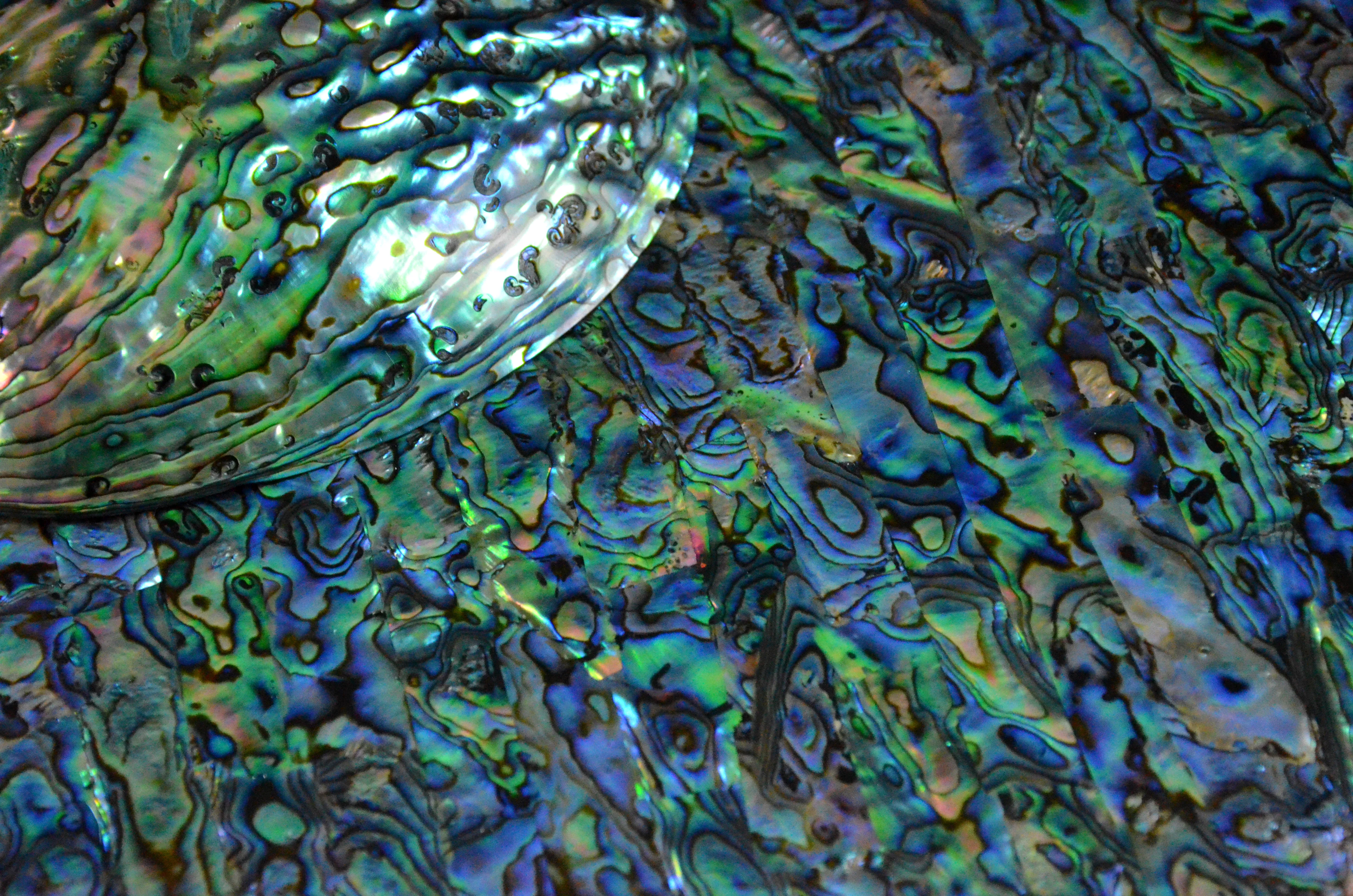 Customizable river shell mother pearl shell paper wall panel DB-064