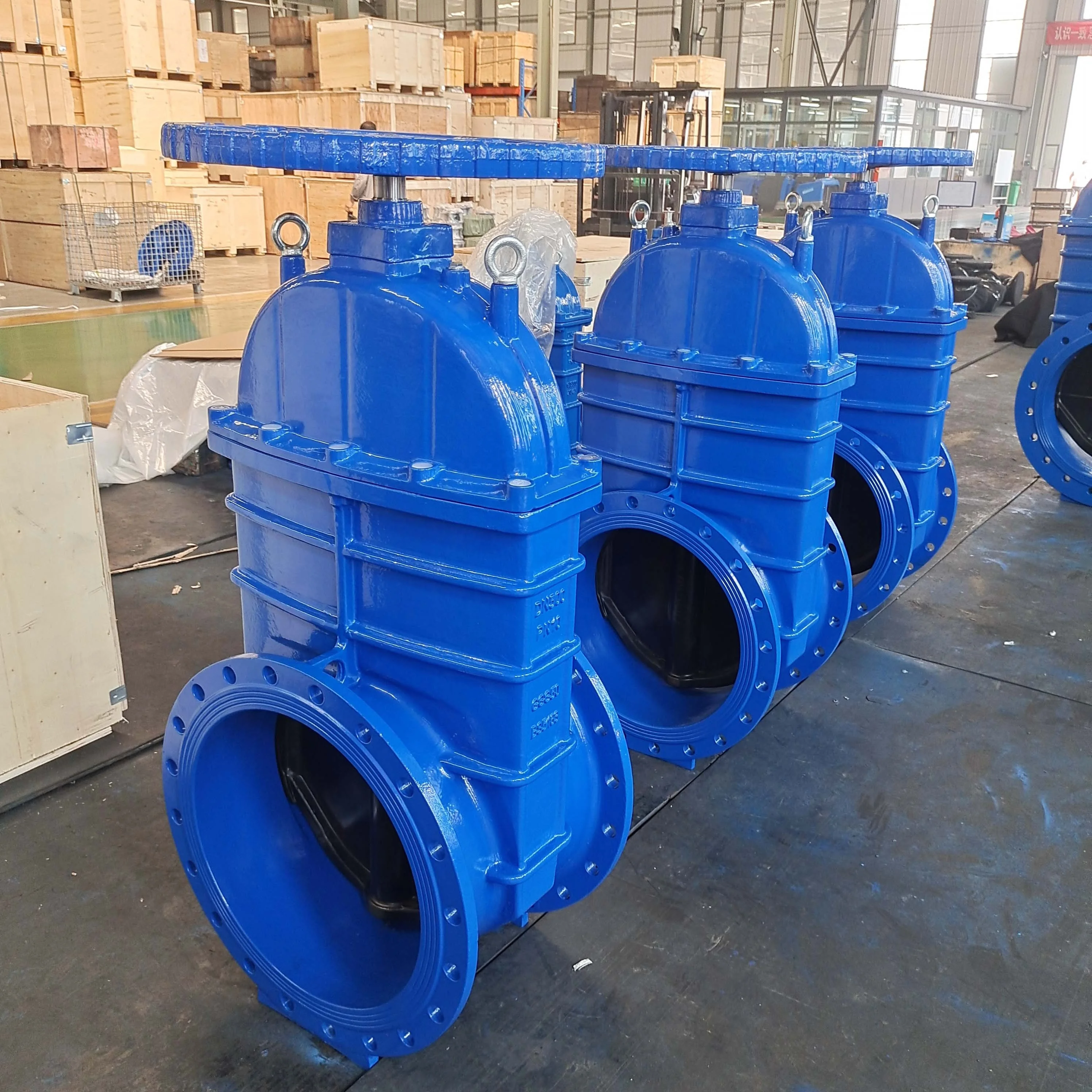 2022 Z45X Gate Valve