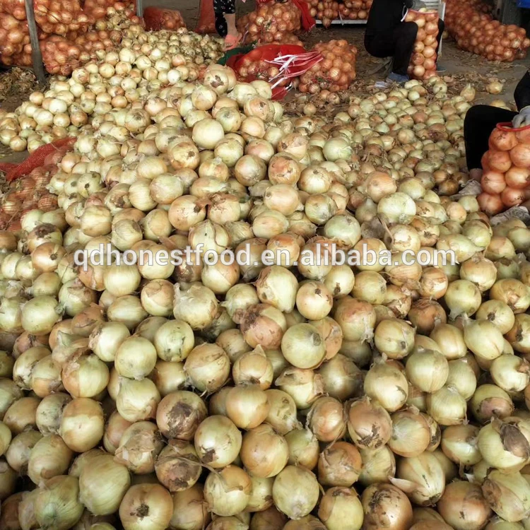 
Wholesale high quality new crop Pure natural fresh red onions 