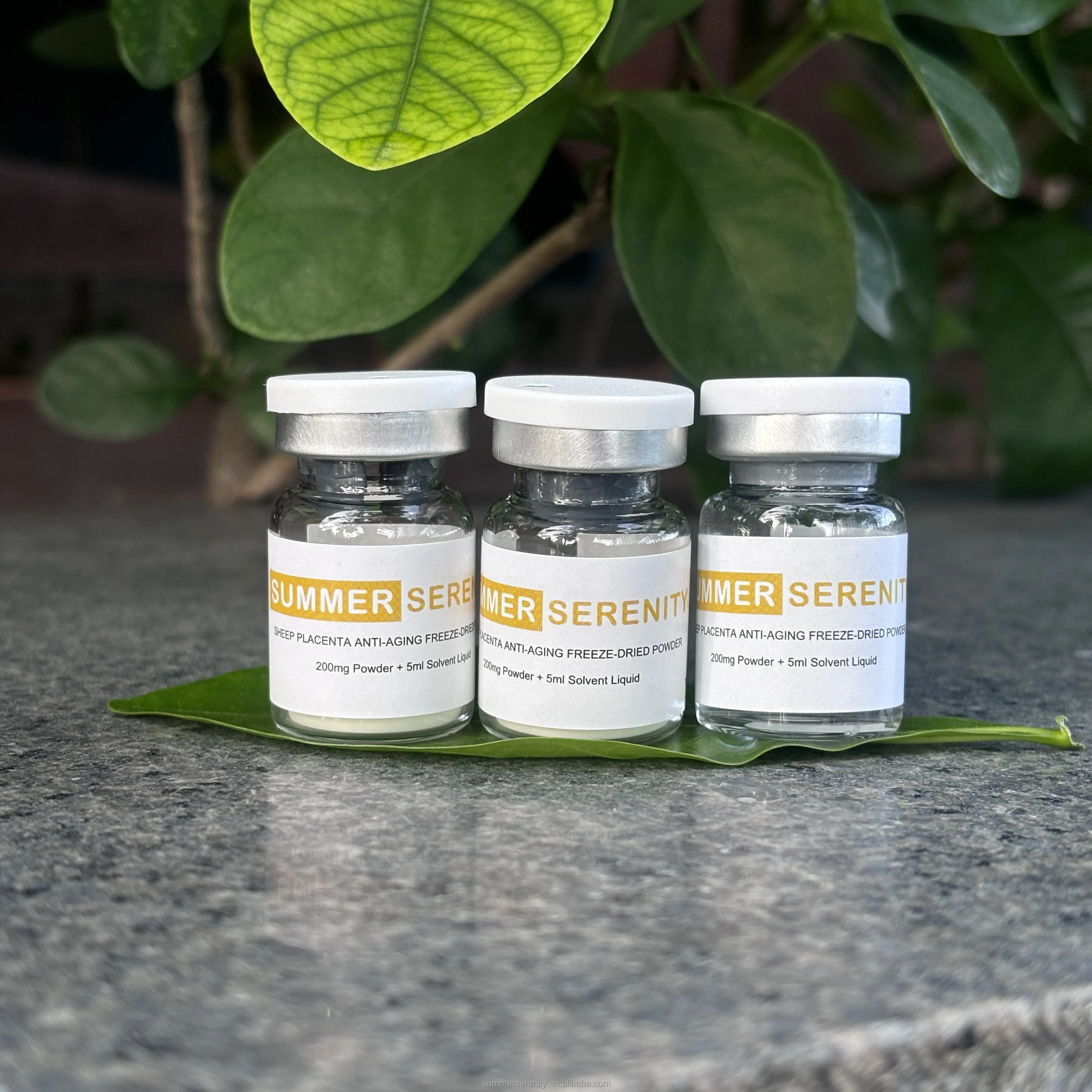 Органическая Овечья плацента лиофилизированная Порошковая сыворотка V-образная восстанавливающая против морщин Антивозрастная уход за кожей лица