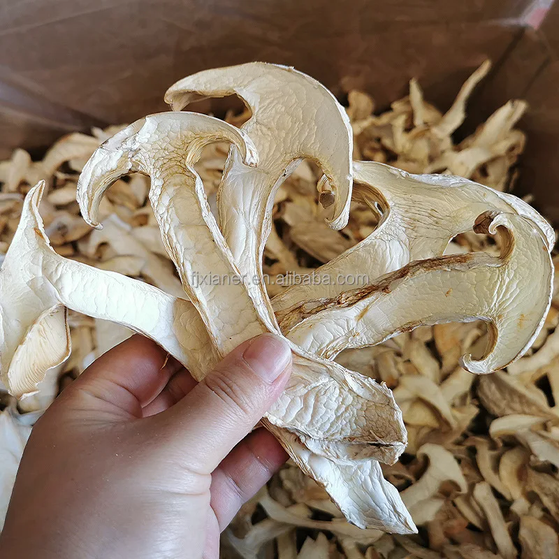 High Class Restaurant Health Food Dried Matsutake Mushroom Slices Dried White Mushroom Slices