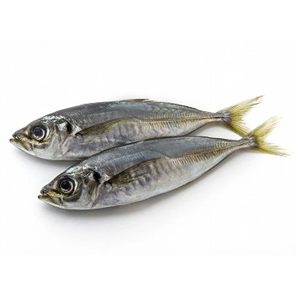 Мороженая рыба, оптовая продажа скумбрии, замороженная круглая рыба целиком (Decapterus Maruadsi), размер: 80 - 120 ГРС/шт