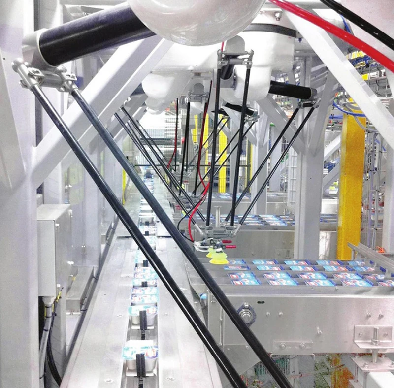 Top Sale Packaging Machinery Automotive Industry Delta Robotic Machine Linear Manipulator