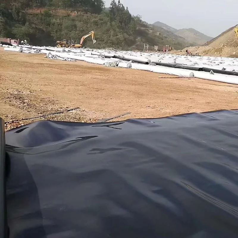 HDPE Geomembrane, Geomembranes Type and HDPE Material HDPE Geomembrane