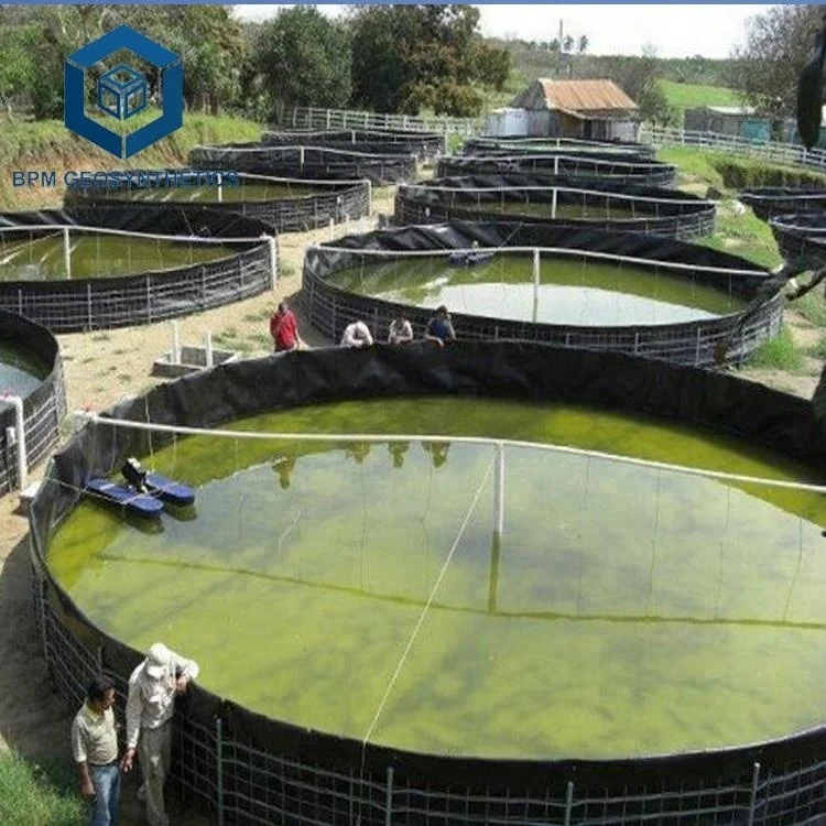 Сверхпрочная пластиковая подкладка для пруда, водостойкая геомембрана HDPE, 1 мм, 0,75 мм или 0,5 мм, подкладка для рыбы, креветки, сельского хозяйства, пруда для аквакультуры