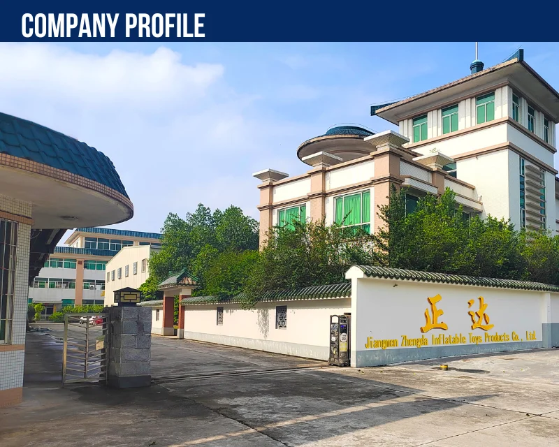 company profile1
