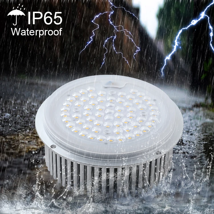 wholesale price 50W 60W  Aluminum LED Module for garden light and landscape lamp