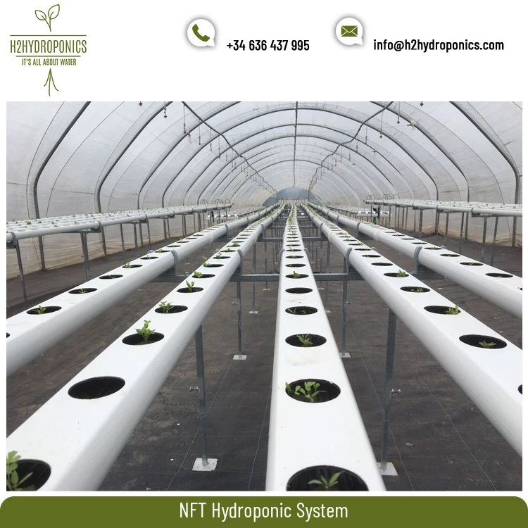 Top Listed Exporter of Optimum Quality Fertilizer Saver NFT Hydroponic System at Affordable Price
