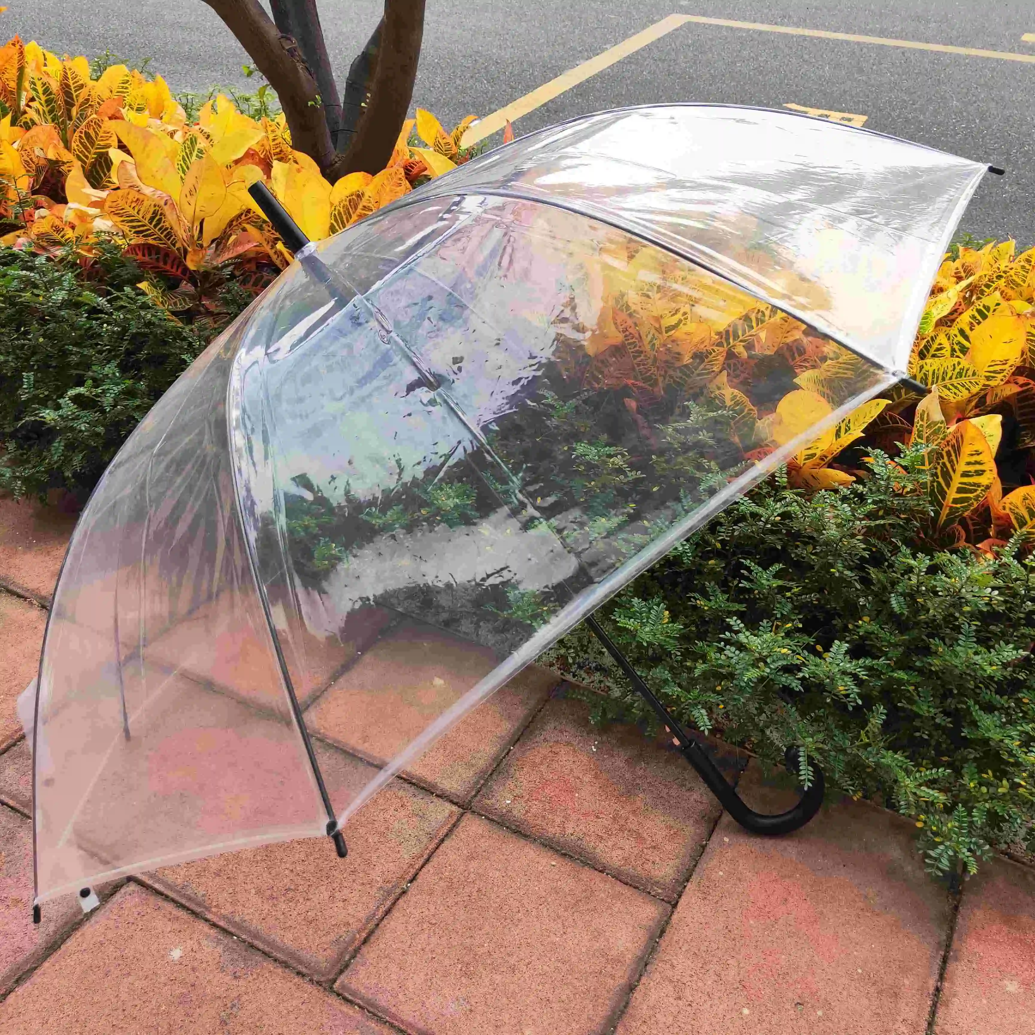 China Umbrella Factory Wholesale cheap POE White Handle Transparent Clear Umbrella umbrellas