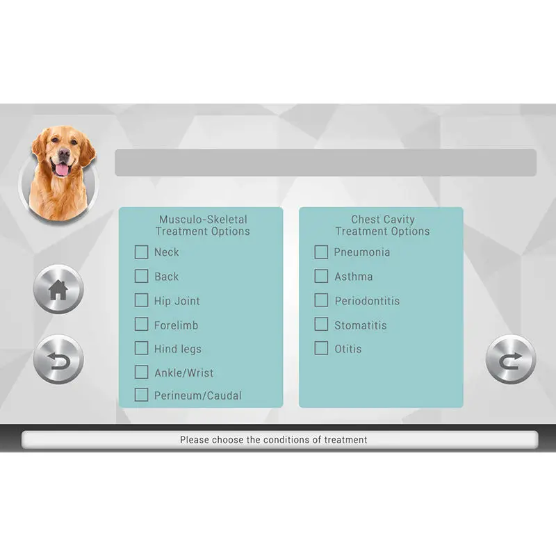 Hot Sales The Most Valuable New Generation 980Nm Wound Heating Pain Relief Pet Veterinary Laser Device Therapy