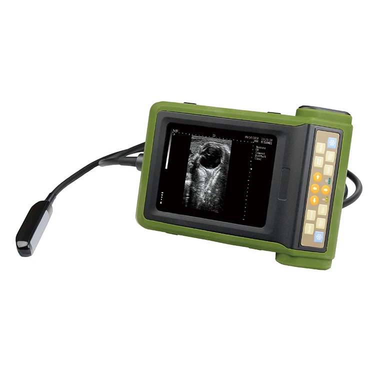 Laptop Veterinary Ultrasound Scanner Handheld Ultrasound Advanced Imaging Technology Trusted Veterinary Ultrasound from China