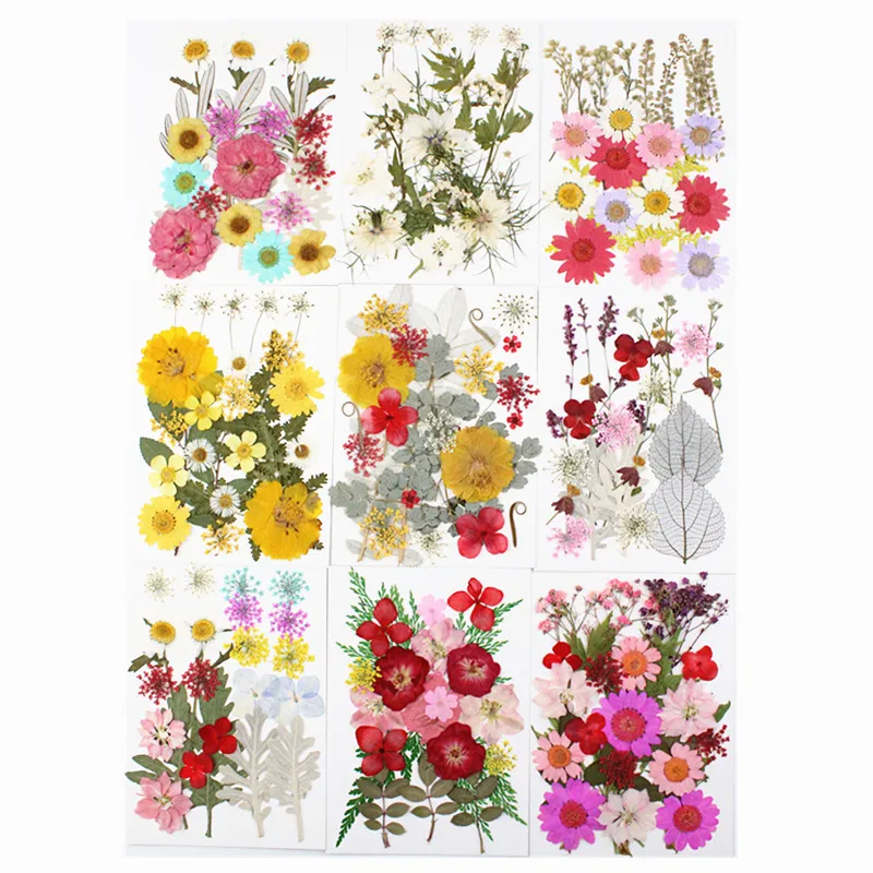 Real Dried Pressed Flowers for Resin Mold Leaves Natural for DIY Candle Decoration Resin Accessories Jewelry Crafts Nails Decor