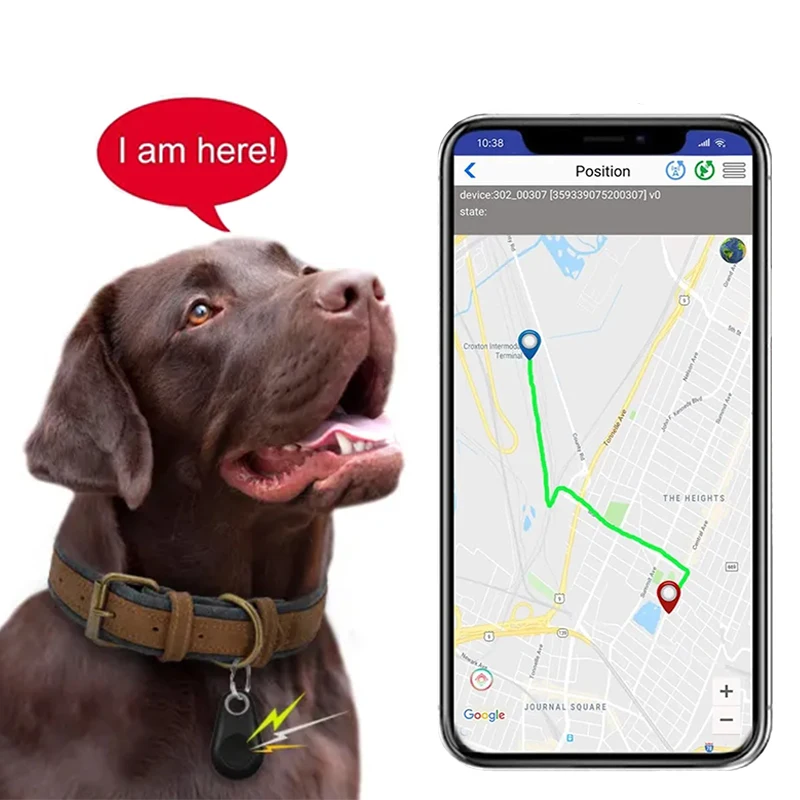 Мини-Bluetooth-будильник для собак и кошек