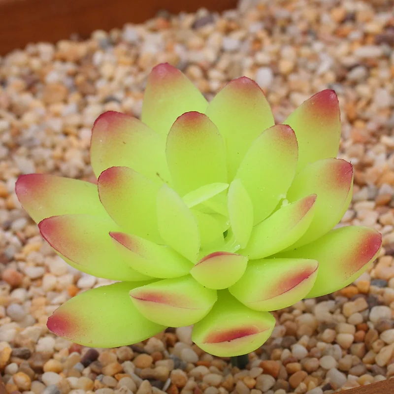 Mini Bonsai Indoor Desktop Decorated Plastic Flowers Artificial Succulent Plants