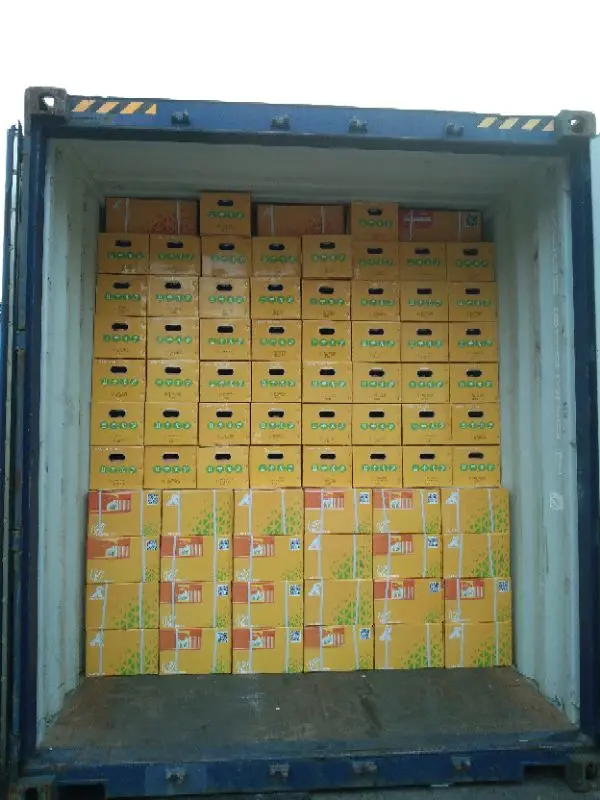 Herbicide Dicamba 98%TC 48%SL  CAS 1918-00-9