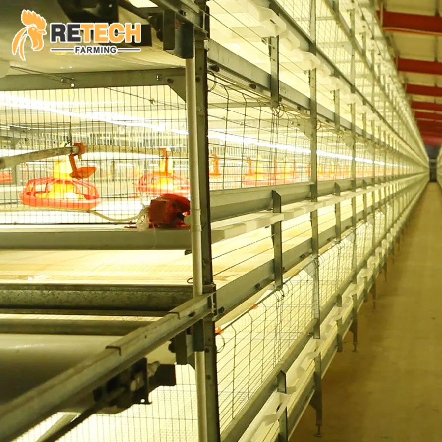 Poultry Farm House Design Broiler Chicken Cage System for Chicken Shed with Automatic Feeding/Drinker System
