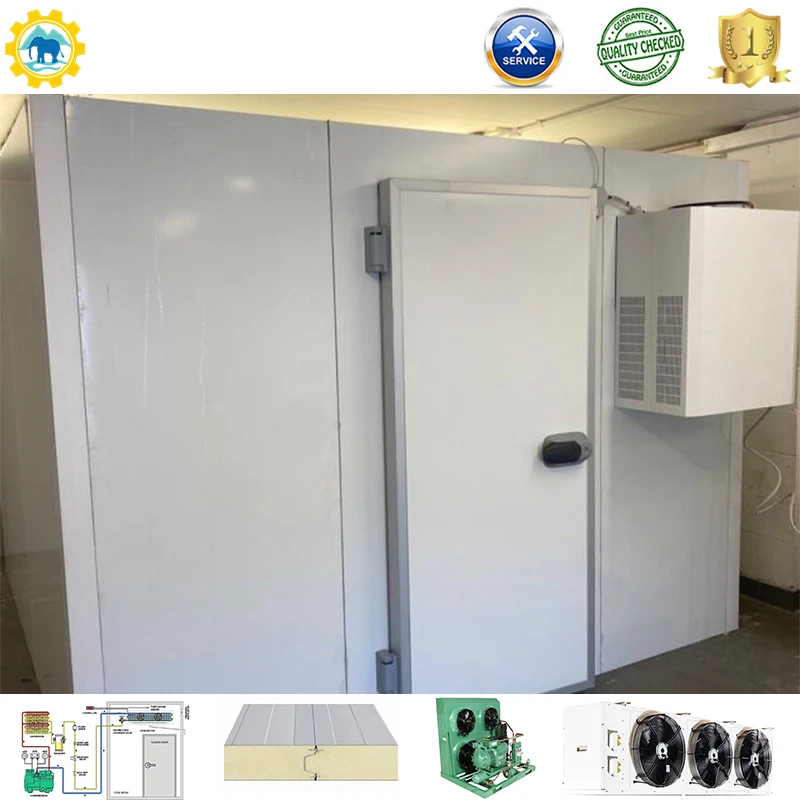 Cold Room Freezer walk in cold storage walk in cold storage freezer room for meat