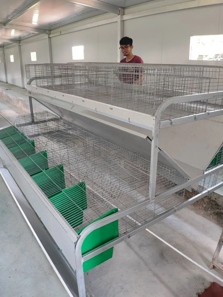 4 tiers 24 rabbits commercial price rabbit cages manufacturer