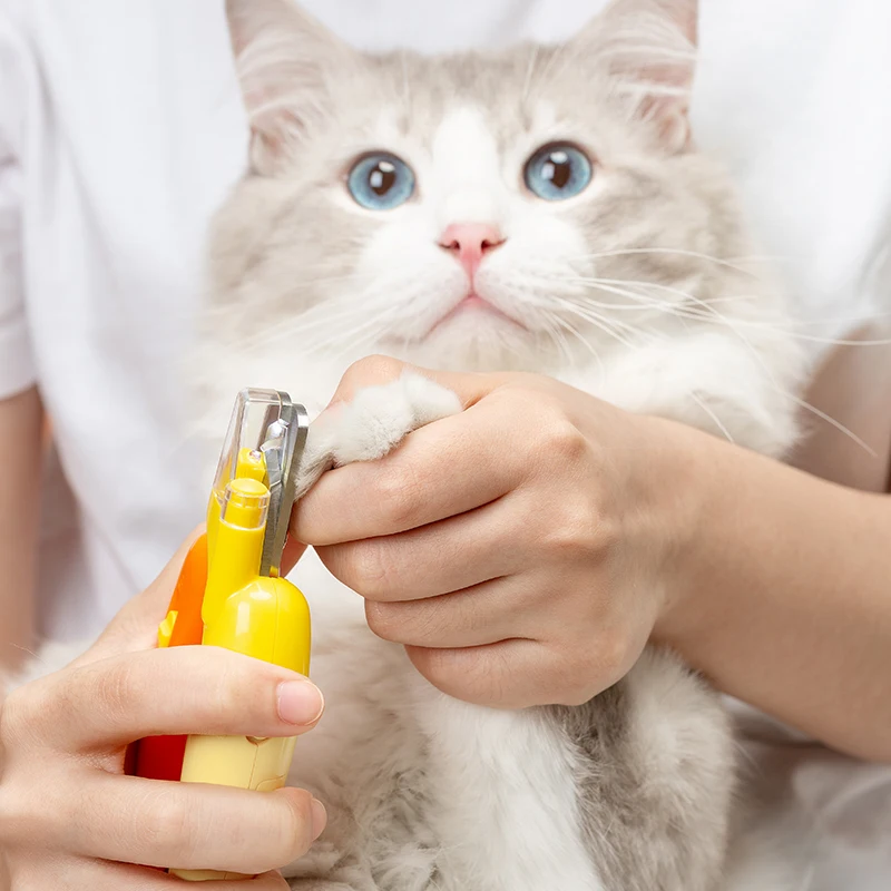 amazon hot selling dog cat pet nail clipper with led light