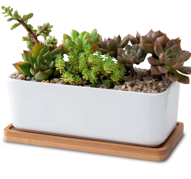 ceramic rectangle flower pots with bamboo saucer planter set wholesale