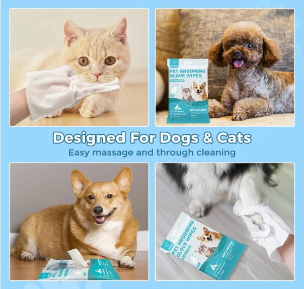 Factory Wholesale Custom Logo Disposable Non-woven Fabric Cat Cleaning Gloves Dog Pet Gloves Wet Wipes