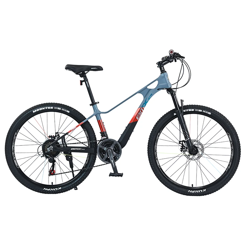 Wholesale 24 Speed Magnesium Alloy Frame Bicicleta 2.5 Tires Bicycle 24 26 inch Adult Cycle Mountain Bike for Men