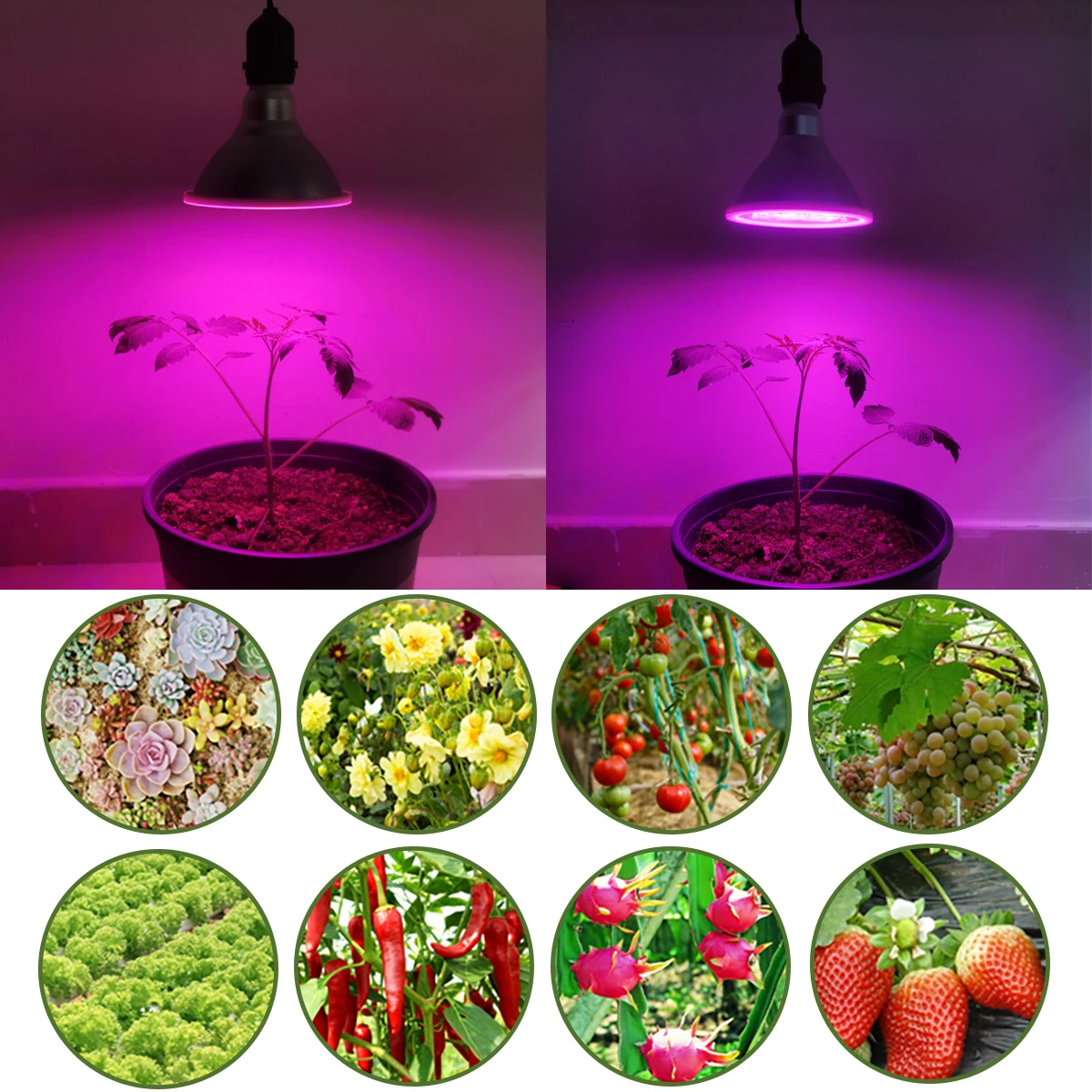 LIWEIDA E26/E27 Full Spectrum Plant Light Bulb with 180 LEDs for Indoor Plants Greenhouse Replace Traditional 100W Grow Light