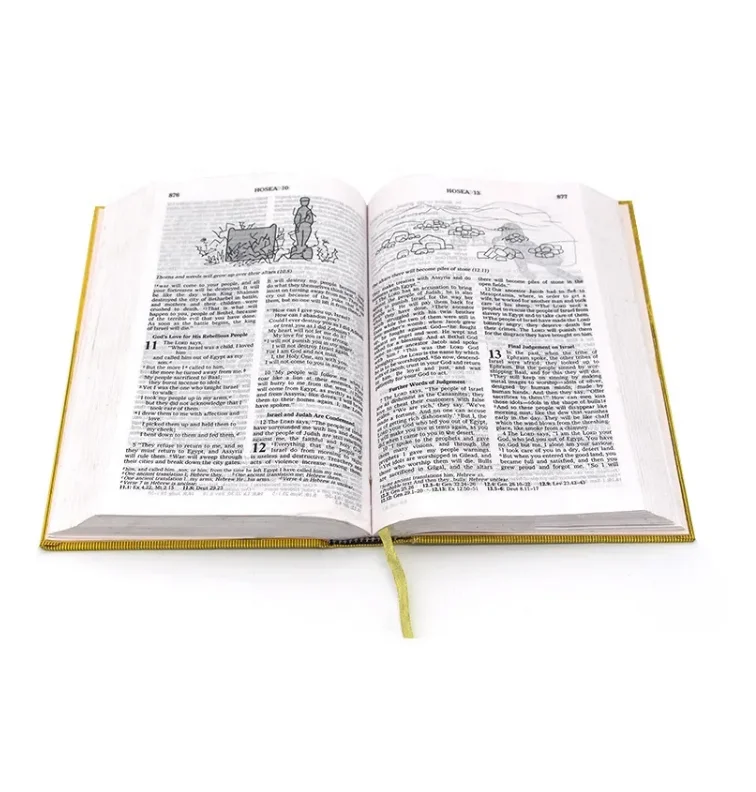 High Quality Factory Wholesale Hardcover Bible Books holy bible book printing for Church reading