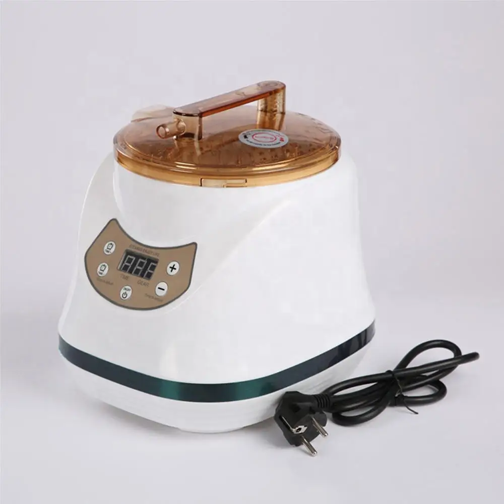 Steamer With Remote Control Steam Generator For portable Steam Sauna Room