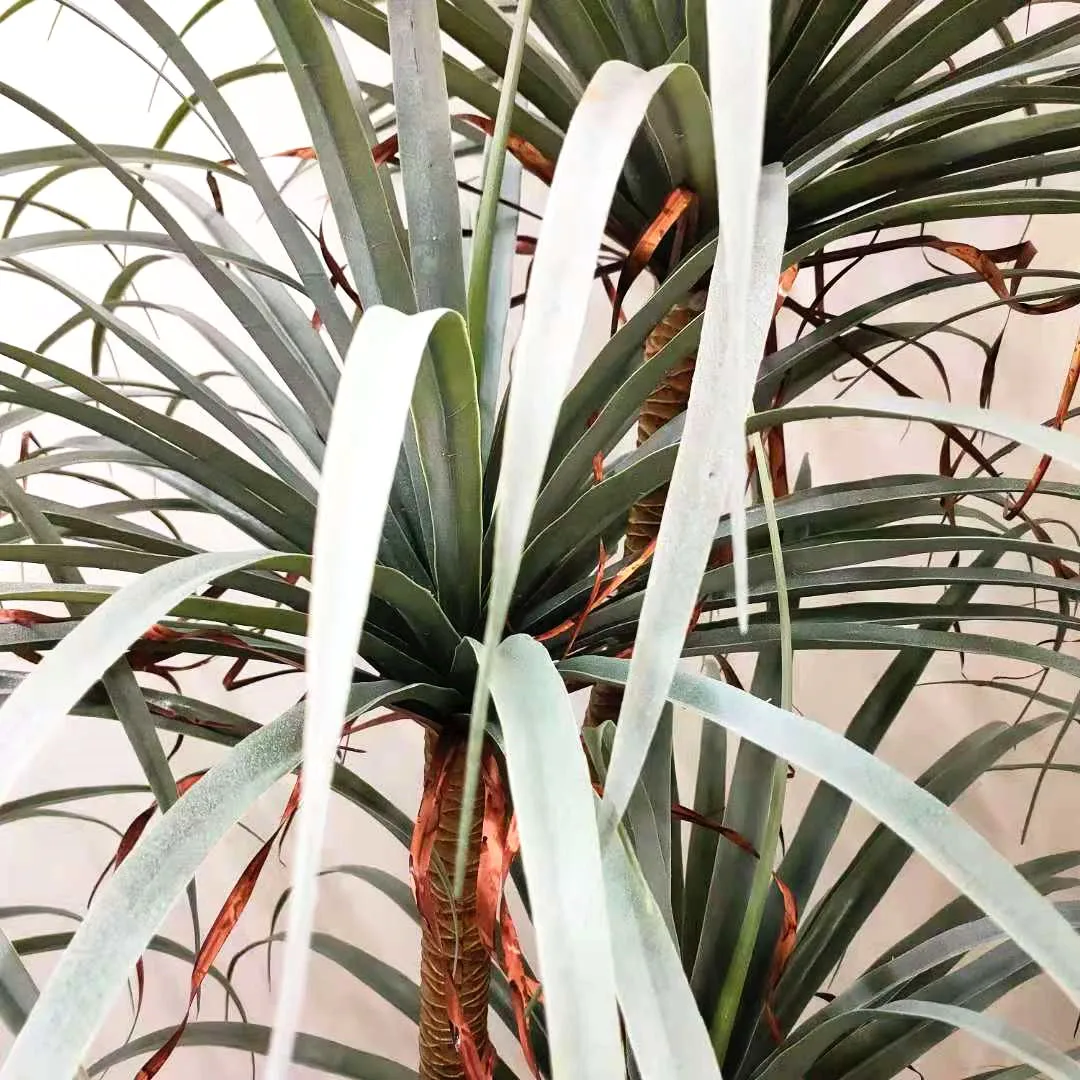 120/160/180/210cm Potted Yucca Trees Artificial Yucca Potted Plants