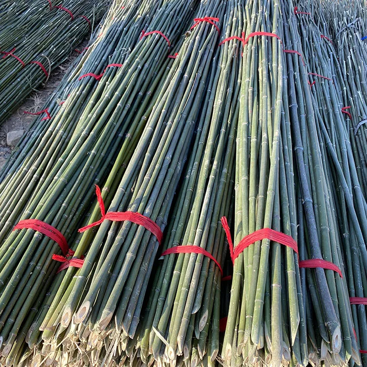 Indoor Decoration House Ceiling Partition Outdoor Fishing Pure Natural Planting Plants Bamboo Pole Price Raw Materials