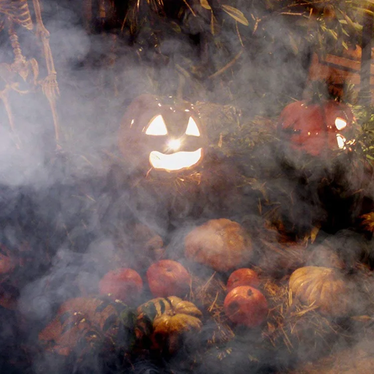 1000W Metal Housing Fog Machine with Wired Remote Controller for Halloween Stage Disco Party