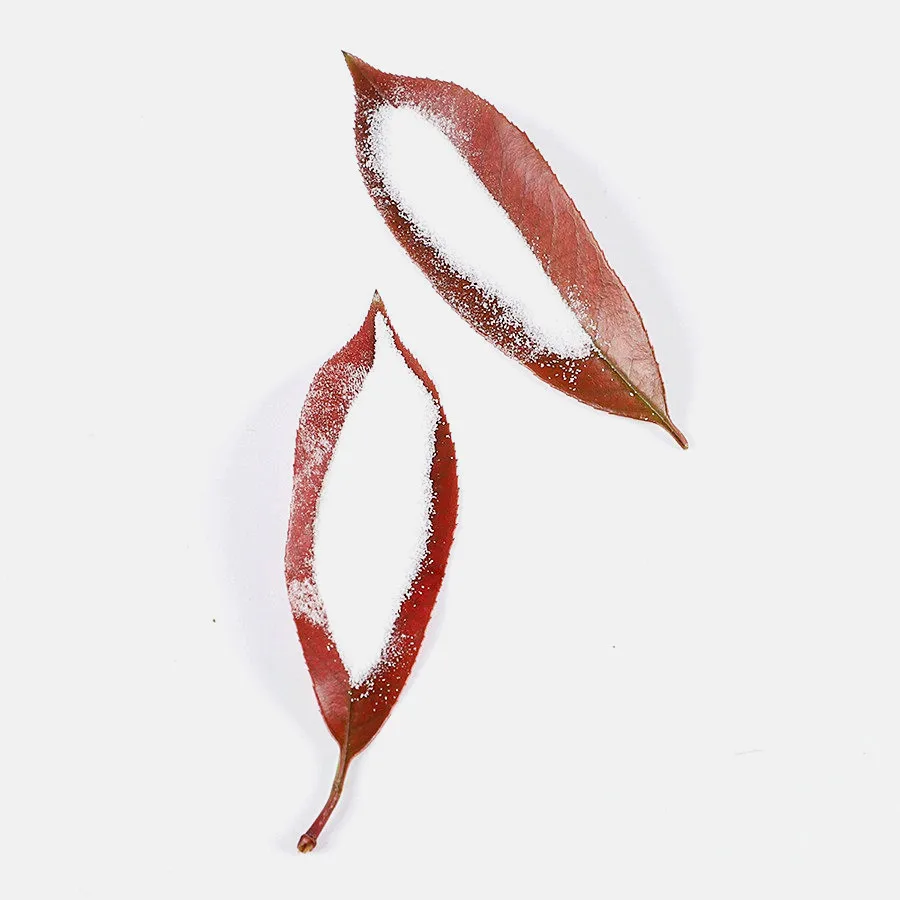 Рабочий порошок Sateri Ssa сульфат натрия безводный 99%