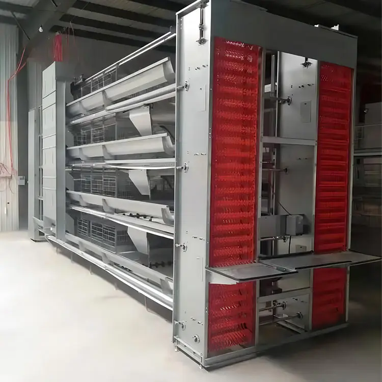 Automatic poultry production line cages for layer chickens for 10000 birds cheap price