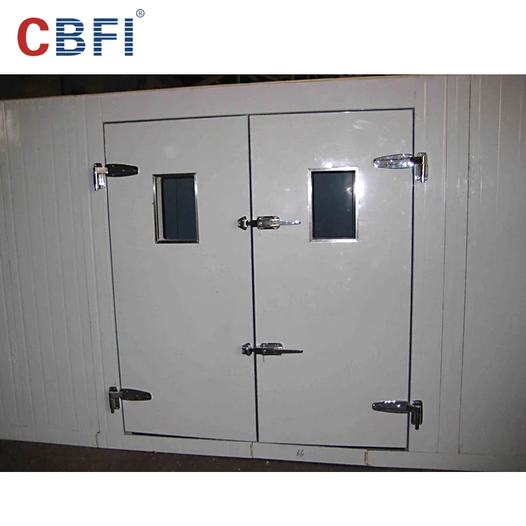 Storage cold store door for keeping fruits and vegetables fresh / door for cold room