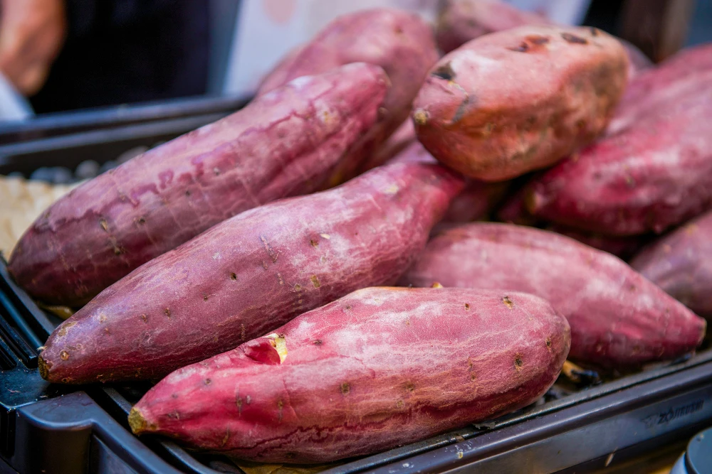 100% свежая красная кожа желтая плоть сладкий картофель конкурентоспособная