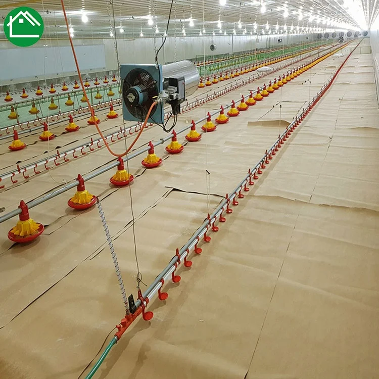 Большая куриная ферма специальный фермерский сборный стальной корпус куриный