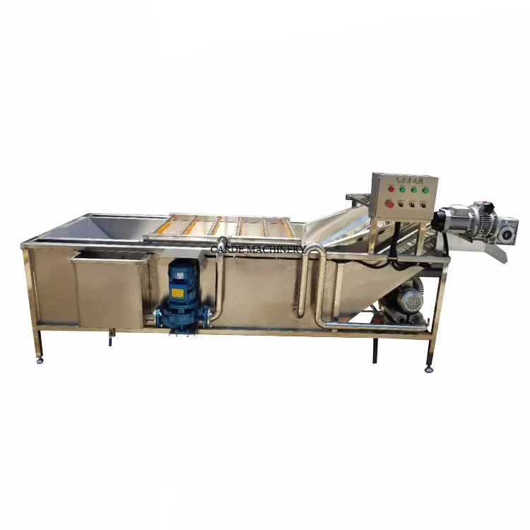 High efficient pumpkin seed food washing machine by air bubble and fruit ozone washer leafy vegetable fruits bubble cleaner