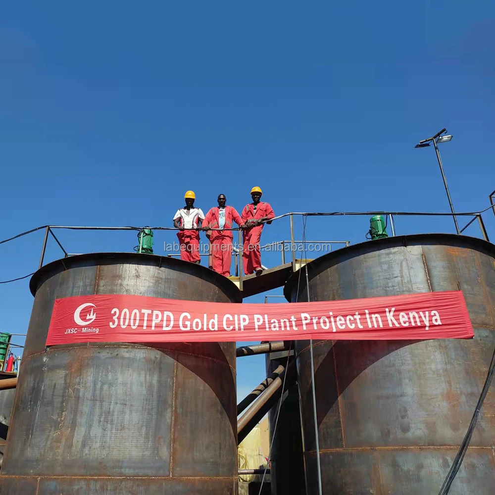 Factory Price Ore Leaching Processing Gold Mining Flotation Plant