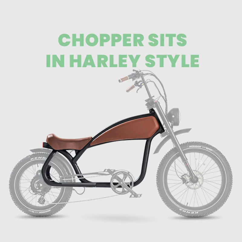 OEM chopper vintage electric dirt bike 500w 1000w powerful mountain e-bike lithium battery 15Ah 20Ah electric bicycle