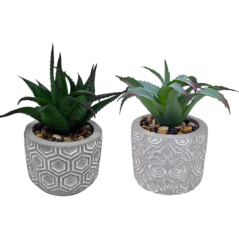 Small Flower Succulent Planters Cement Plant Pot with Drainage with Removable Saucer Trays