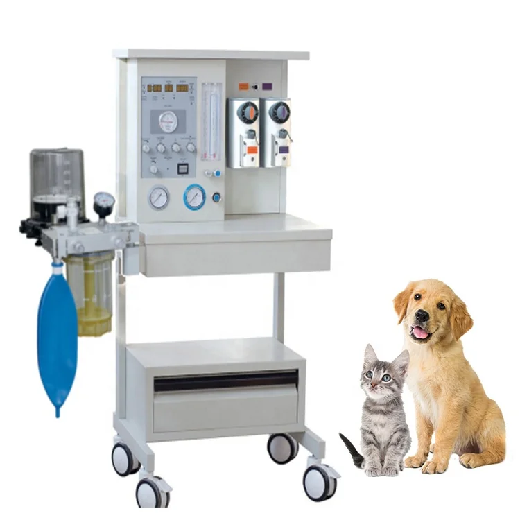 Medical Veterinary Anesthesia Device Animal Anesthesia Machine with Built-in Ventilator