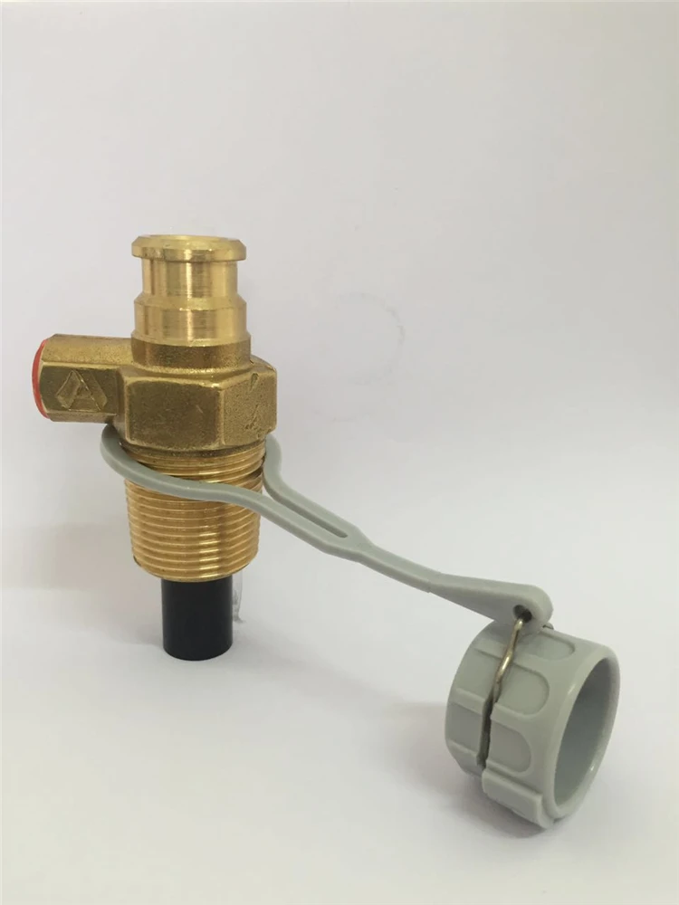 VALVE WITH DUST CAP.jpg