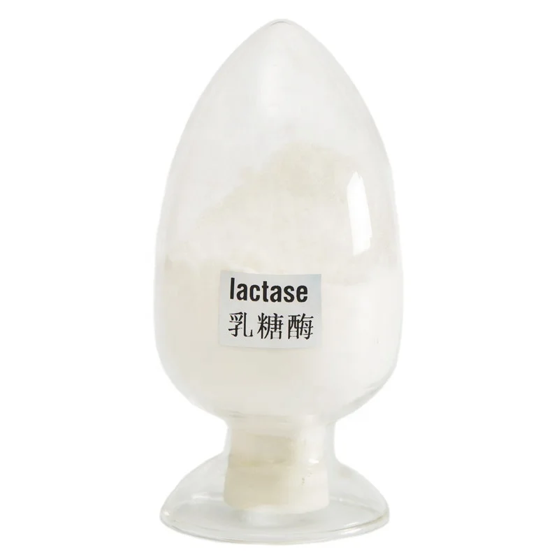 Fungal Lactase, Acid Lactase, reduce the lactose intolerance, factory supply, 100000ALU/g