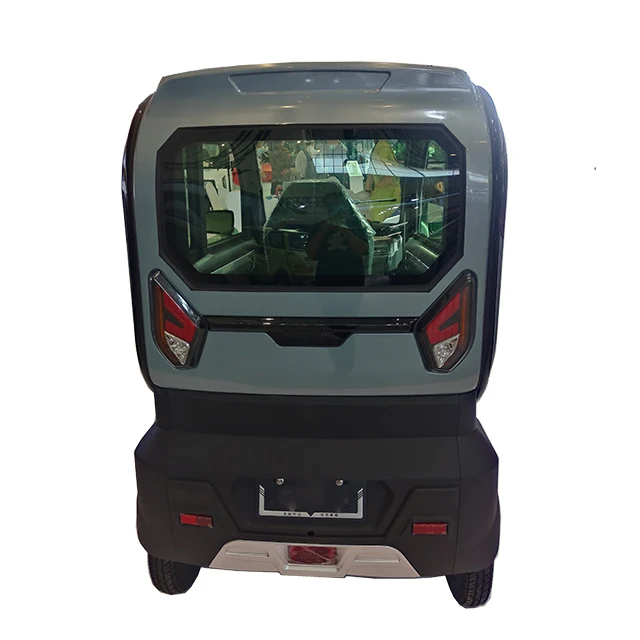Rickshaw Family Vehicle Mid-east Fully Enclosed Closed Electric 3 Wheels Electric Trike CE LED Display 60V Cargo 1200W Motor