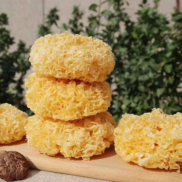 Chinese silver ear fungus mushroom yin er Tremella fuciformis healthy food dried white fungus