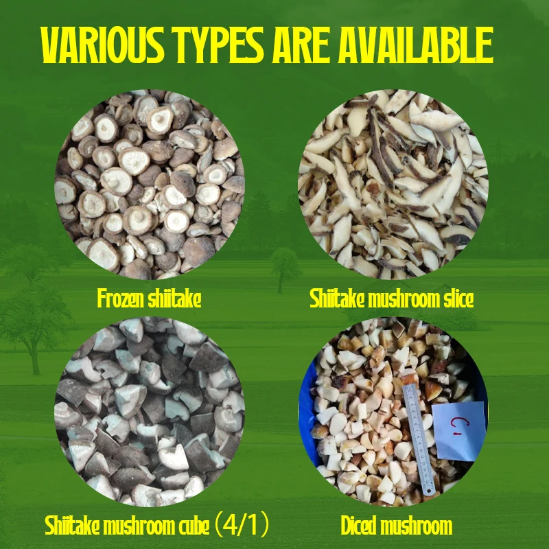 factory direct price organic No additions haccp Approved IQF bulk fresh vegetable Frozen Shiitake slice Frozen mushroom slices